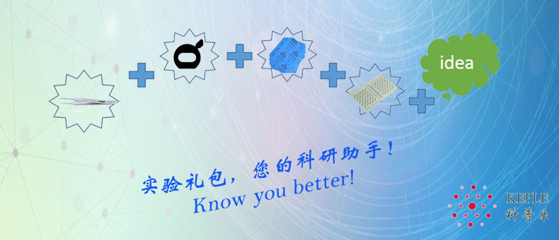 20170503101533296